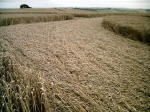 Liddington Castle, Wiltshire crop circle, aerial photo 11
