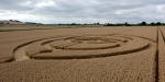 Morgan Hill, Wiltshire crop circle, aerial photo 9