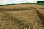 Morgan Hill, Wiltshire crop circle, aerial photo 11
