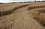 Morgan Hill, Wiltshire crop circle, aerial photo 12