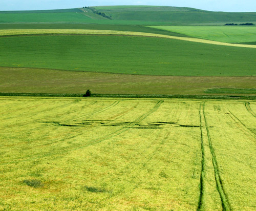 North Down, Wiltshire crop circle, aerial photo 11
