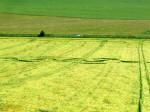North Down, Wiltshire crop circle, aerial photo 20