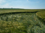 North Down, Wiltshire crop circle, aerial photo 16