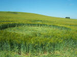 North Down, Wiltshire crop circle, aerial photo 17