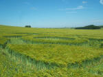 North Down, Wiltshire crop circle, aerial photo 19
