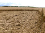 Oliver’s Castle, Wiltshire crop circle, aerial photo 41