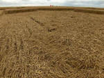 Oliver’s Castle, Wiltshire crop circle, aerial photo 39