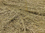 Oliver’s Castle, Wiltshire crop circle, aerial photo 25