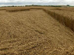 Oliver’s Castle, Wiltshire crop circle, aerial photo 21