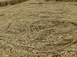 Oliver’s Castle, Wiltshire crop circle, aerial photo 31