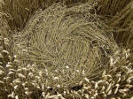 Oliver’s Castle, Wiltshire crop circle, aerial photo 34