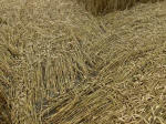 Oliver’s Castle, Wiltshire crop circle, aerial photo 32