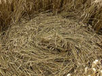 Oliver’s Castle, Wiltshire crop circle, aerial photo 35