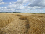 The Ridgeway, Wiltshire crop circle, aerial photo 33