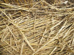 The Ridgeway, Wiltshire crop circle, aerial photo 43