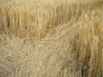 The Ridgeway, Wiltshire crop circle, aerial photo 37
