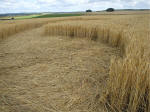 The Ridgeway, Wiltshire crop circle, aerial photo 36