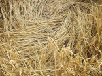 The Ridgeway, Wiltshire crop circle, aerial photo 44