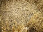 The Ridgeway, Wiltshire crop circle, aerial photo 42