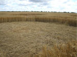The Ridgeway, Wiltshire crop circle, aerial photo 27