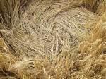 The Ridgeway, Wiltshire crop circle, aerial photo 41