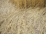 The Ridgeway, Wiltshire crop circle, aerial photo 40