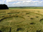 The Ridgeway, Wiltshire crop circle, aerial photo 13