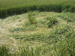 The Sanctuary, Wiltshire crop circle, aerial photo 27