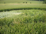 The Sanctuary, Wiltshire crop circle, aerial photo 18