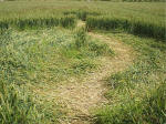 The Sanctuary, Wiltshire crop circle, aerial photo 24