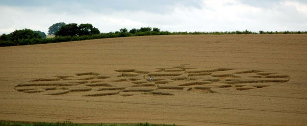 The Sanctuary (2), Wiltshire crop circle, aerial photo 6
