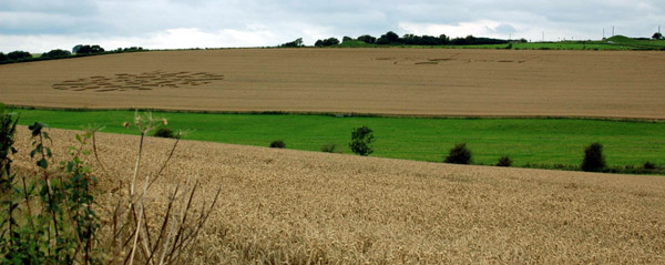 The Sanctuary (2), Wiltshire crop circle, aerial photo 8