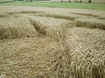 The Sanctuary (2), Wiltshire crop circle, aerial photo 17