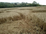 The Sanctuary (2), Wiltshire crop circle, aerial photo 12