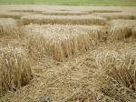 The Sanctuary (2), Wiltshire crop circle, aerial photo 20