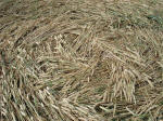 Martinsell Hill, Wiltshire crop circle, aerial photo 23