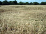 Martinsell Hill, Wiltshire crop circle, aerial photo 14