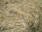 Martinsell Hill, Wiltshire crop circle, aerial photo 20