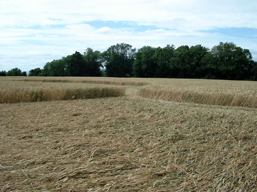 Martinsell Hill, Wiltshire crop circle, aerial photo 24