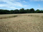 Martinsell Hill, Wiltshire crop circle, aerial photo 12