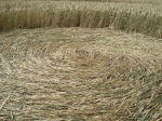 Martinsell Hill, Wiltshire crop circle, aerial photo 16