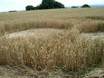 Martinsell Hill, Wiltshire crop circle, aerial photo 19