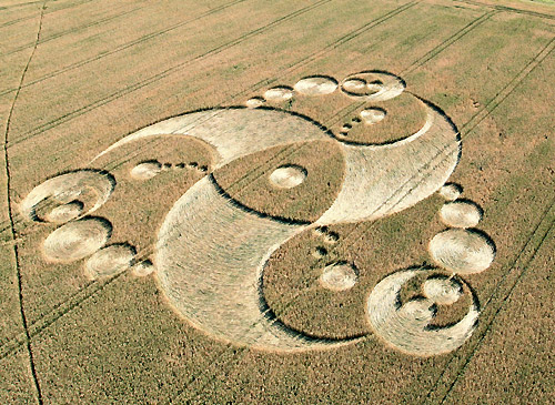 Martinsell Hill, Wiltshire crop circle, aerial photo 5