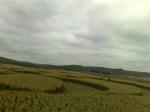 South Field, Wiltshire crop circle, aerial photo 42