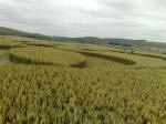 South Field, Wiltshire crop circle, aerial photo 41