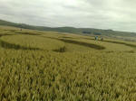 South Field, Wiltshire crop circle, aerial photo 40