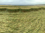 South Field, Wiltshire crop circle, aerial photo 38