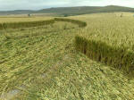 South Field, Wiltshire crop circle, aerial photo 34