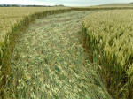 South Field, Wiltshire crop circle, aerial photo 37