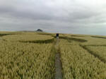 South Field, Wiltshire crop circle, aerial photo 43